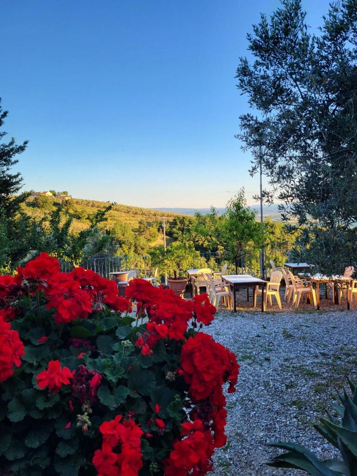Agriturismo La Gioconda Βίντσι Εξωτερικό φωτογραφία